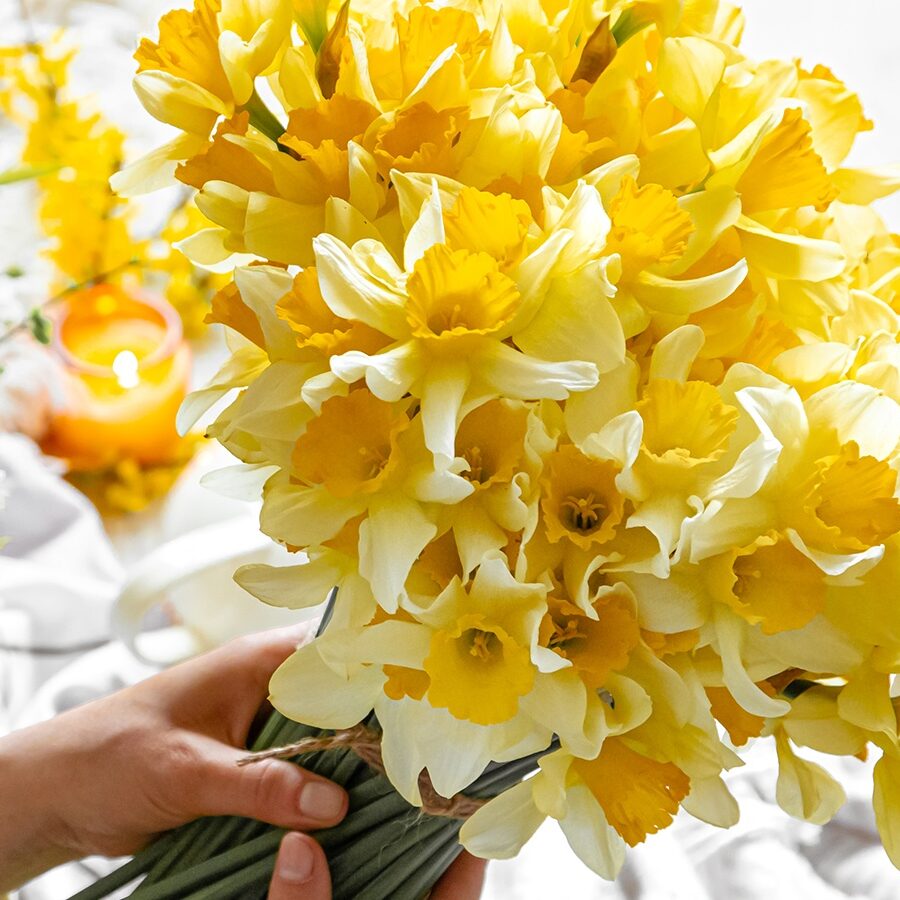 Cómo Elegir Flores Online