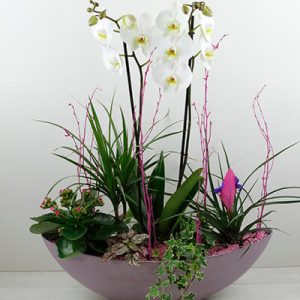góndola con orquídeas