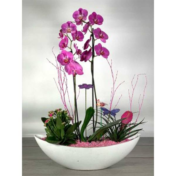 Góndola con Orquídeas y Plantas