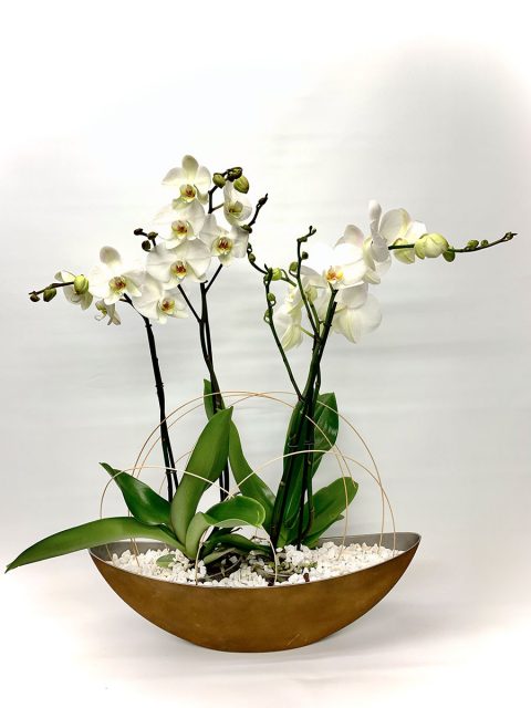 góndola óxido con orquídeas blancas