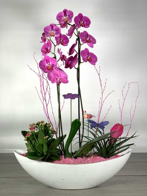 góndola con orquídea y plantas