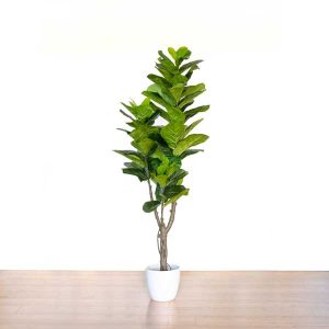 Ficus Lyrata artificial