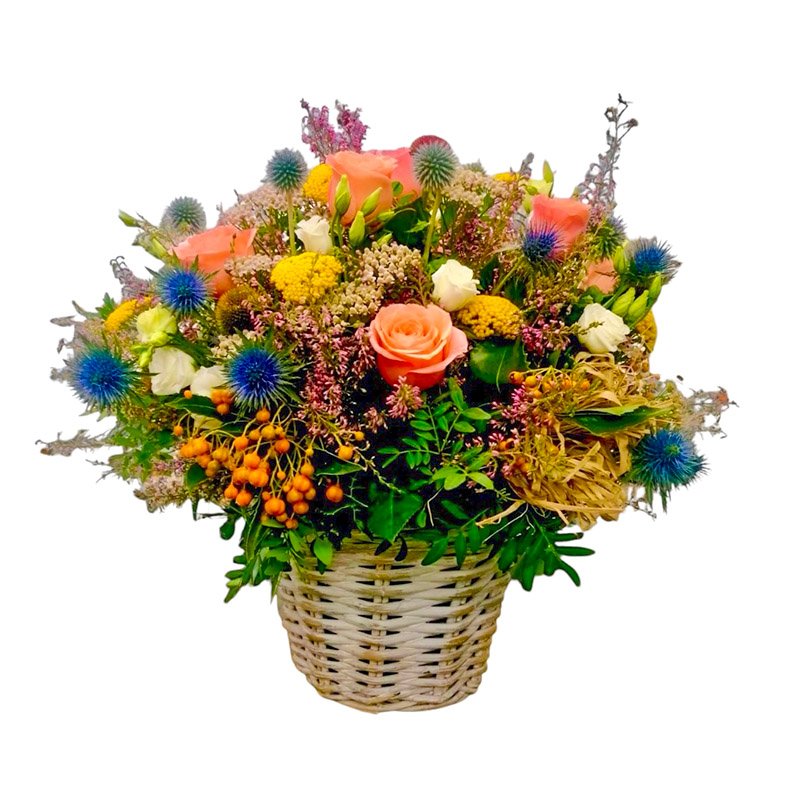 composiciones-con-plantas
