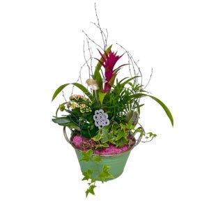 composición con plantas