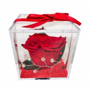 Cubo de metacrilato 8x8cm con una rosa roja preservada