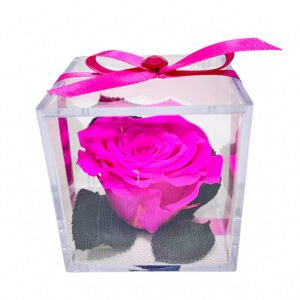 Cubo de metacrilato 8x8x8 con rosa preservada fucsia
