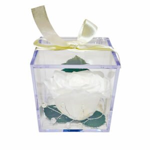 Cubo de metacrilato 8x8x8 con una RSA blanca preservada