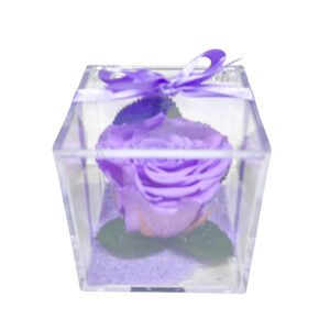 Cubo de metacrilato 8x8x8 con una rosa preservada de color morado