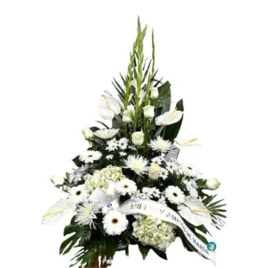 centro funerario tonos blancos