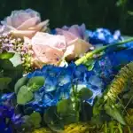 Qué flores regalar en cada ocasión: guía completa para acertar siempre en Pamplona