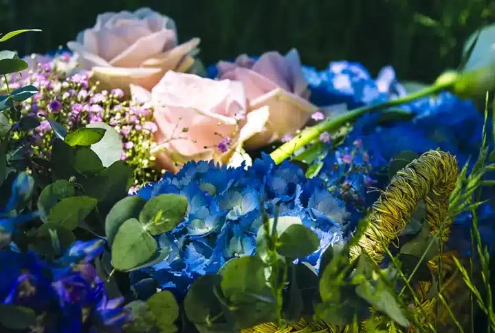 Qué flores regalar en cada ocasión: guía completa para acertar siempre en Pamplona