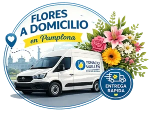 pedidos a domicilio en Pamplona
