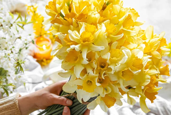 Cómo elegir flores online sin equivocarte: guía para comprar con confianza