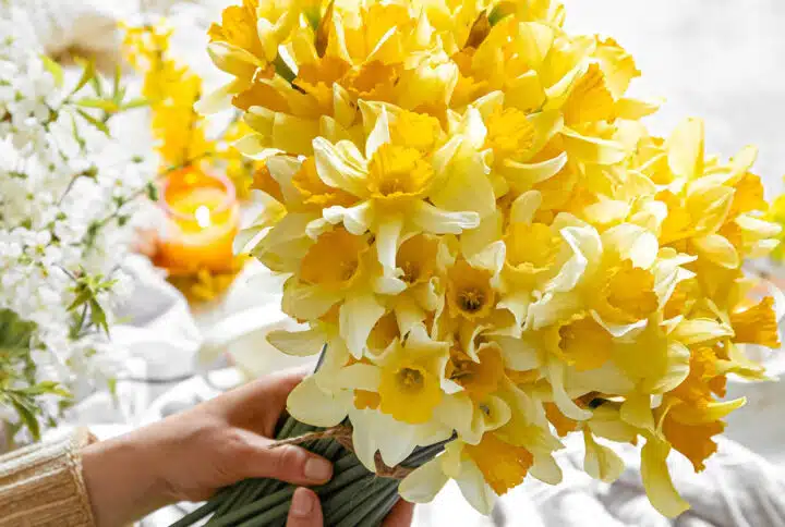 Cómo elegir flores online sin equivocarte: guía para comprar con confianza