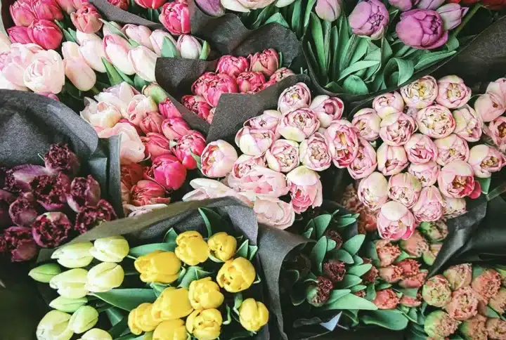 Qué significan las flores: guía para elegir el ramo perfecto