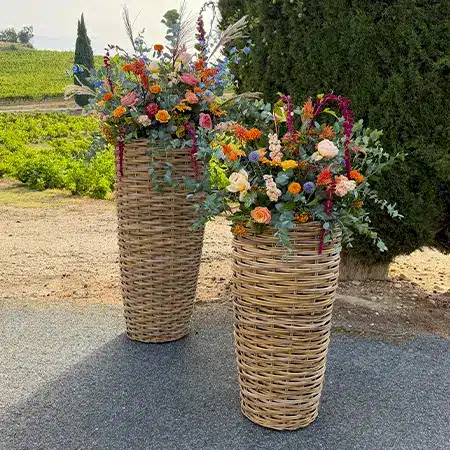 Image Slider