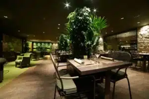 decoracion con plantas para empresas en pamplona copia